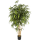Bamboo New natural Kunstpflanze, H 180