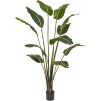 Strelitzia Kunstpflanze, H 180