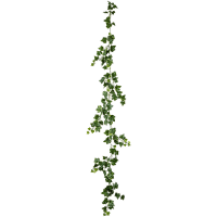 Ivy Kunstpflanze, H 205