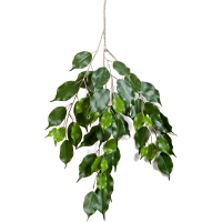 Ficus exotica Kunstpflanze, H 75