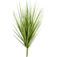 Grass Carex Kunstpflanze, H 60
