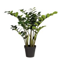 Zamioculcas - Glücksfeder Kunstpflanze, 90 cm