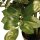 Zamioculcas - Glücksfeder Kunstpflanze, 90 cm